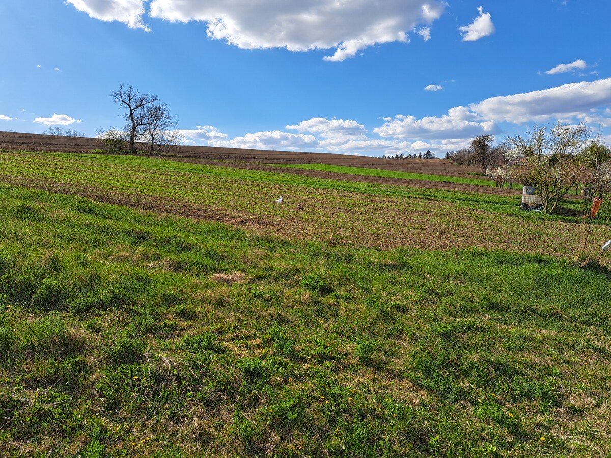 Predáme stavebný pozemok, 1101 m2, Nové Sady, časť Sila — foto 2