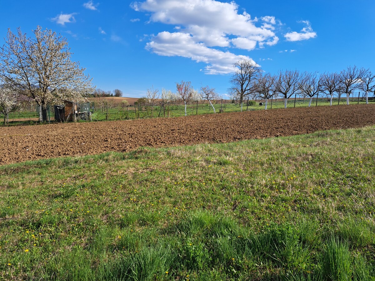 Predáme stavebný pozemok, 1101 m2, Nové Sady, časť Sila — foto 4