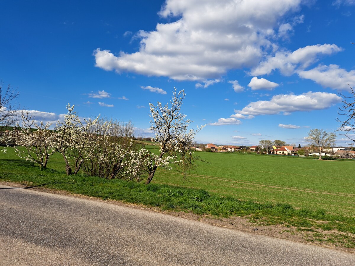 Predáme stavebný pozemok, 1101 m2, Nové Sady, časť Sila — foto 6