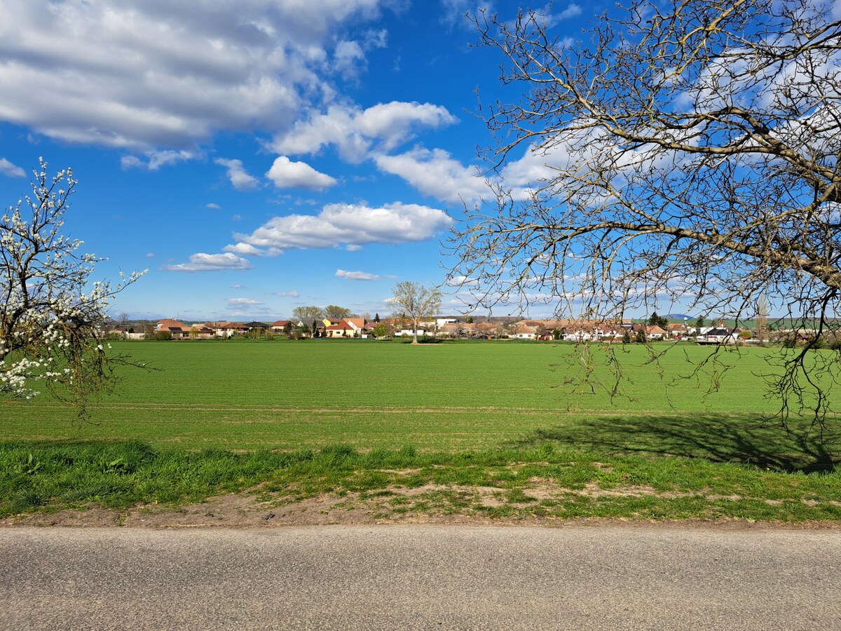 Predáme stavebný pozemok, 1101 m2, Nové Sady, časť Sila — foto 7