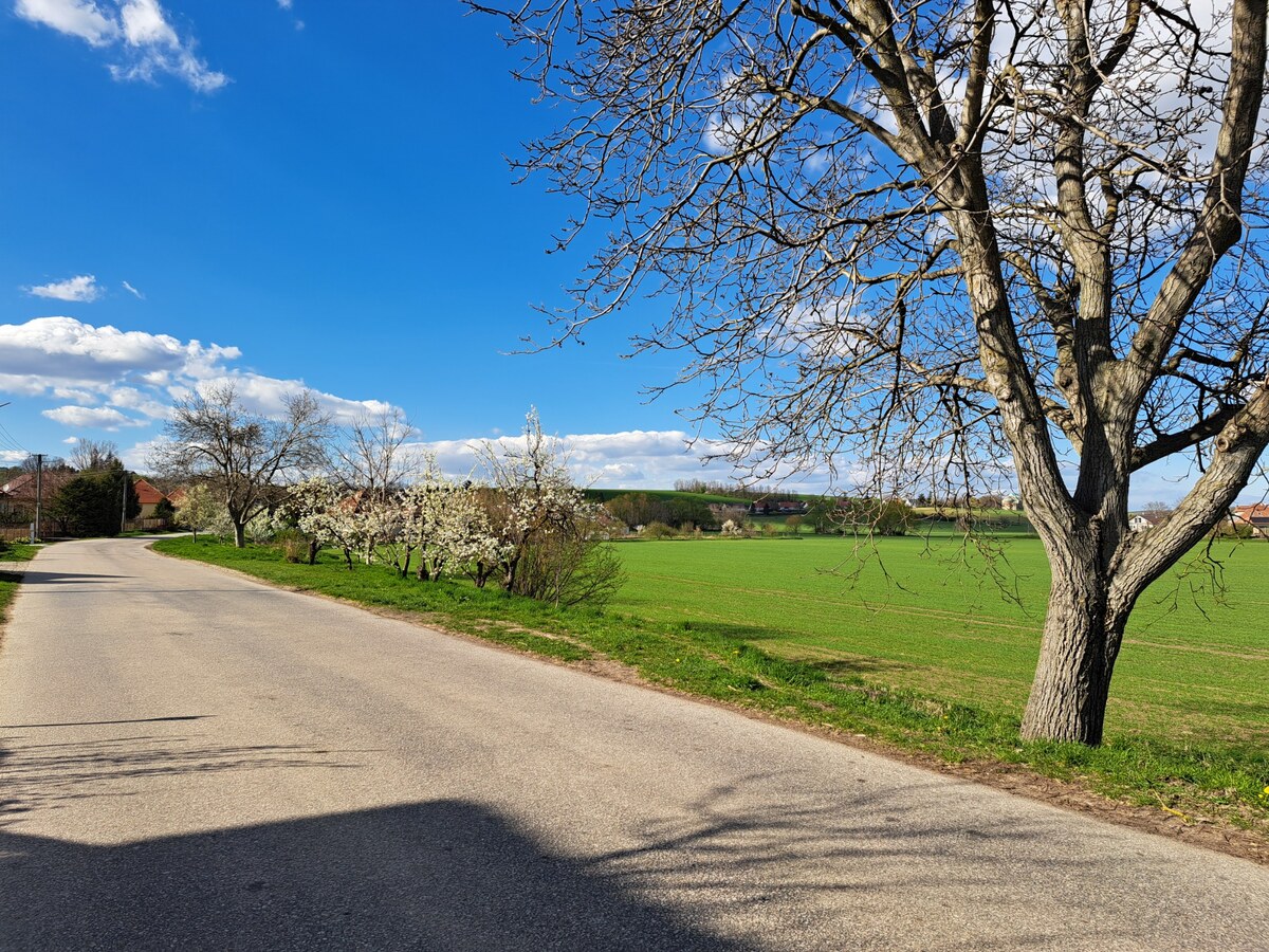 Predáme stavebný pozemok, 1101 m2, Nové Sady, časť Sila — foto 8