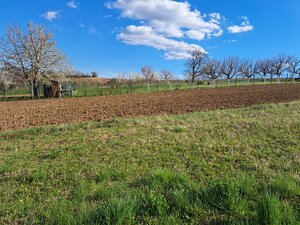 Predáme stavebný pozemok, 1101 m2, Nové Sady, časť Sila — foto 4