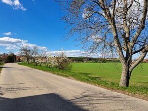Predáme stavebný pozemok, 1101 m2, Nové Sady, časť Sila — foto 8