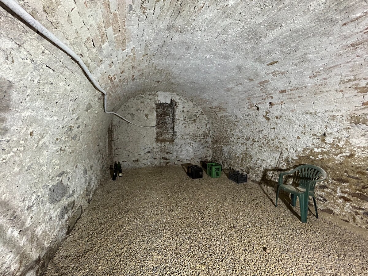 Panský dom s rozsiahlym pozemkom 6345m2 Čifáre centum (okr. NR) — foto 12