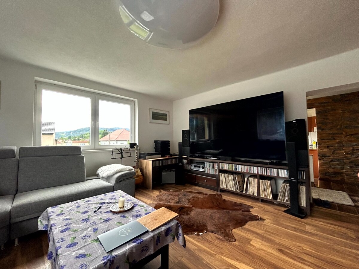 7 izbový rodinný dom s pozemkom 891 m2 v obci Brusno (22km od BB) — foto 8