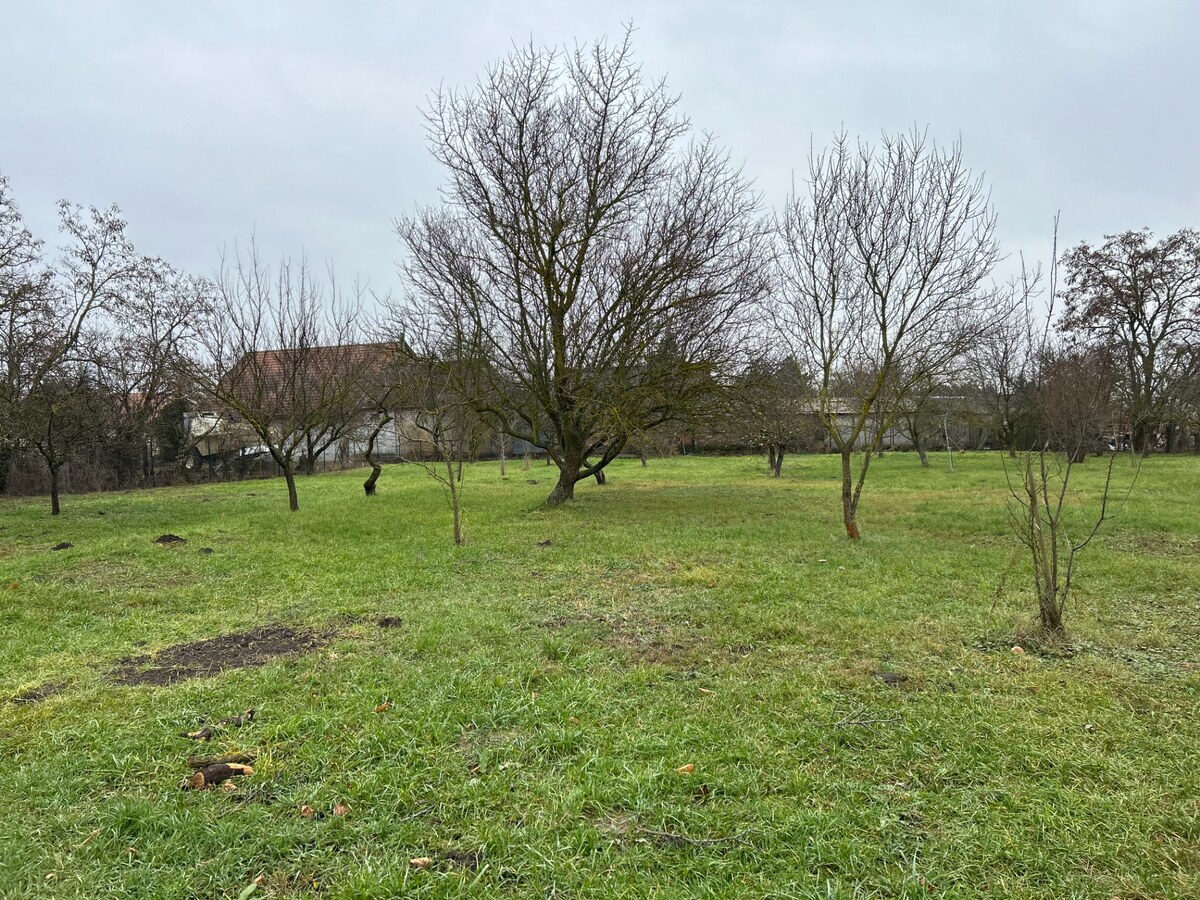 Stavebný pozemok Komárno - časť Kava, 1000 m2 (alebo viac) — foto 5