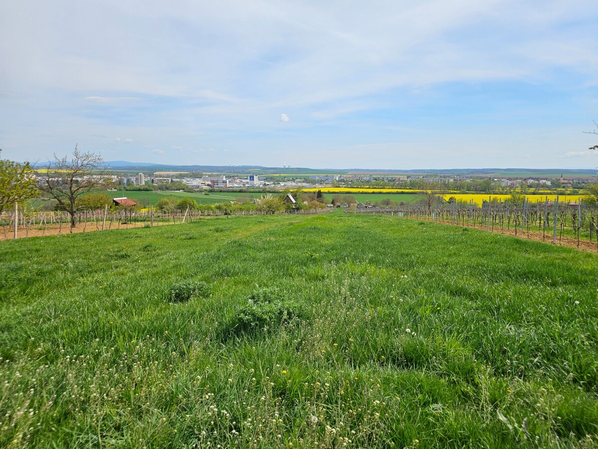 Rekreačný pozemok s výmerou 4.624 m2 vo vinárskej oblasti vo Vrábľoch — foto 3