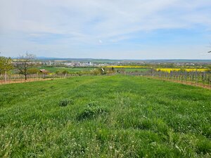 Rekreačný pozemok s výmerou 4.624 m2 vo vinárskej oblasti vo Vrábľoch — foto 3