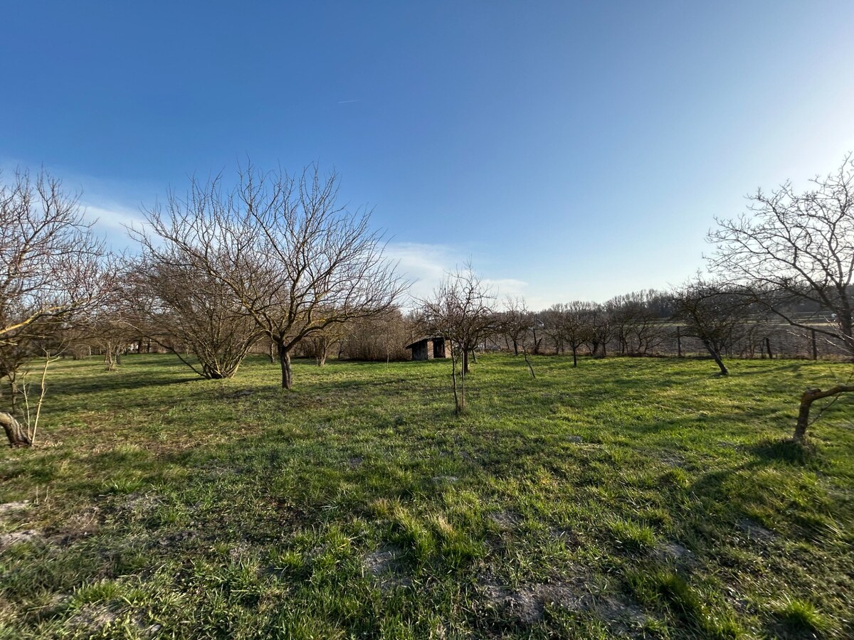 Rodinný dom s pozemkom 3501 m2 Komárno -časť Kava — foto 19