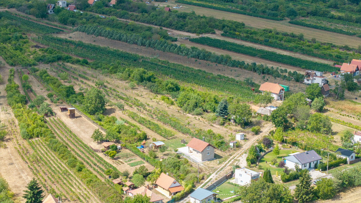Vinica s ovocným sadom, elektrikou a unimobunkou v Hornom Oháji !! — foto 11