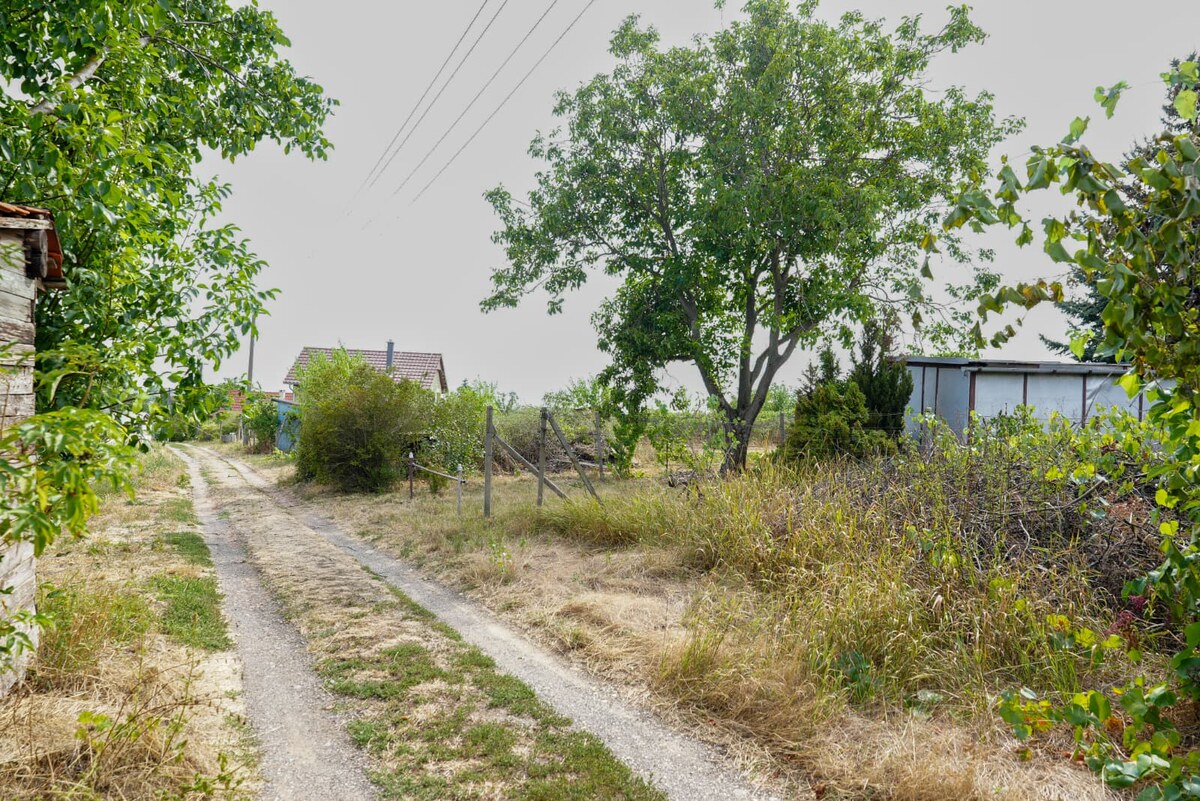 Vinica s ovocným sadom, elektrikou a unimobunkou v Hornom Oháji !! — foto 8