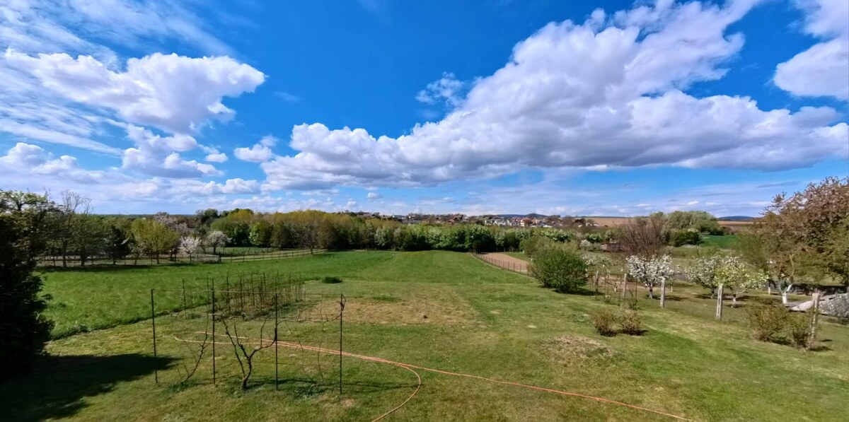 Na PREDAJ rodinný dom s pozemkom 3401 m2 v Ripňanoch !! — foto 18