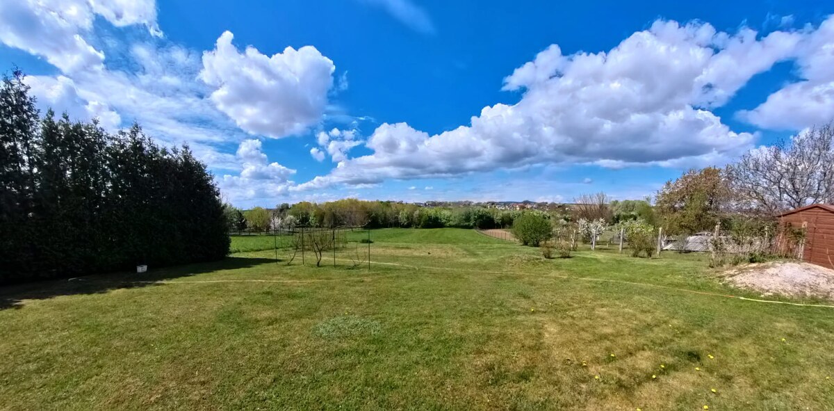 Na PREDAJ rodinný dom s pozemkom 3401 m2 v Ripňanoch !! — foto 19