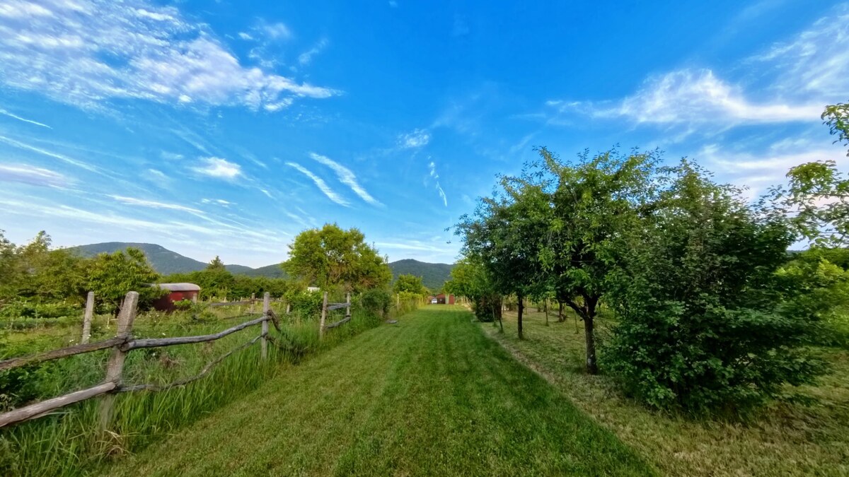 Romantická chatka v srdci vinohradov – Podhorany — foto 2