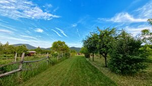 Romantická chatka v srdci vinohradov – Podhorany — foto 2
