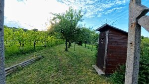 Romantická chatka v srdci vinohradov – Podhorany — foto 4