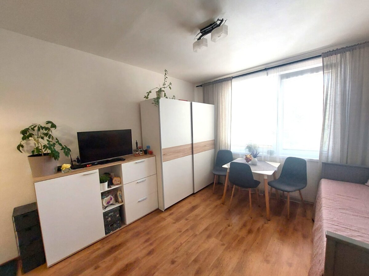 KOMPLETNE PREROBENÁ GARSÓNKA + PIVNICA: Nitra – Chrenová ! — foto 2