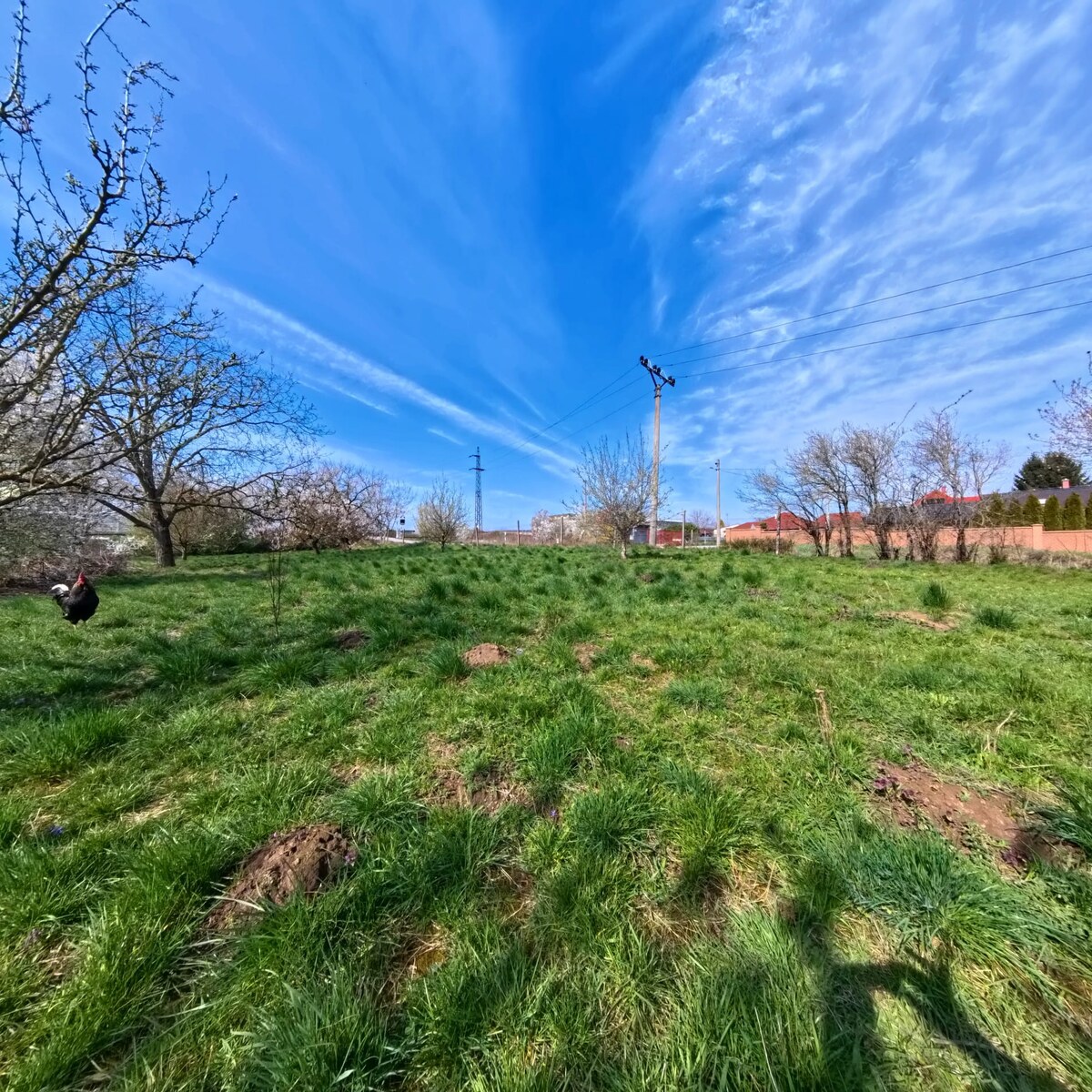 NA PREDAJ STAVEBNÝ POZEMOK V LUŽIANKACH 660m2 — foto 5