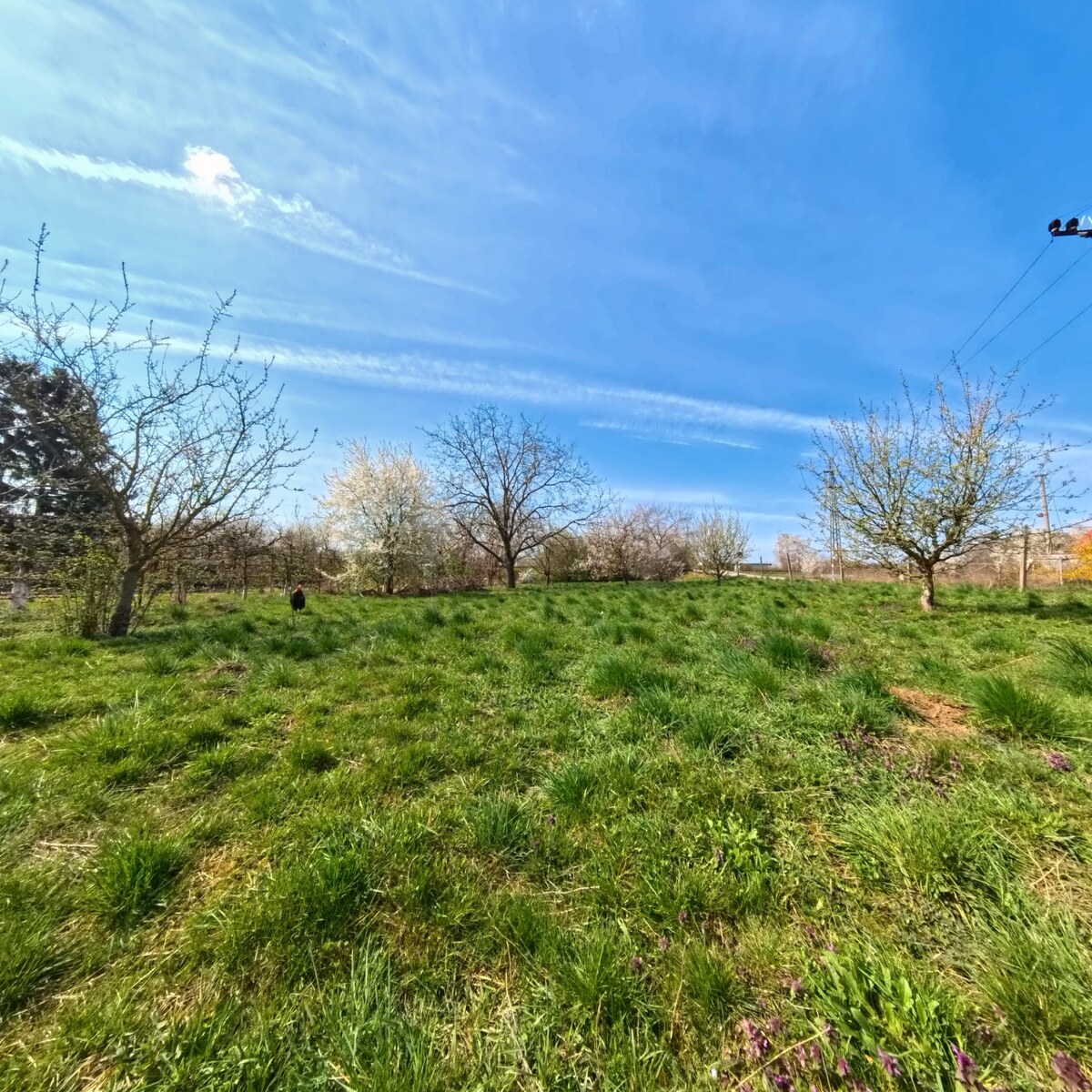 NA PREDAJ STAVEBNÝ POZEMOK V LUŽIANKACH 660m2 — foto 9