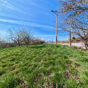 NA PREDAJ STAVEBNÝ POZEMOK V LUŽIANKACH 660m2 — foto 2