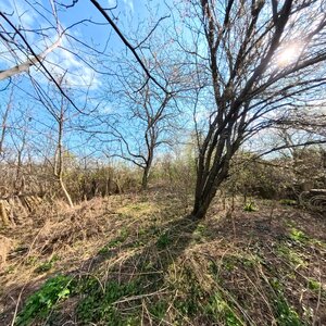 NA PREDAJ 5 izbový rodinný dom s pozemkom 1056m2  v meste Vráble. — foto 14