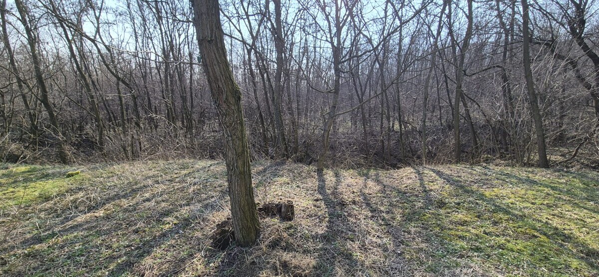 Na predaj 2 izbová chata pri lese v Štitároch — foto 5