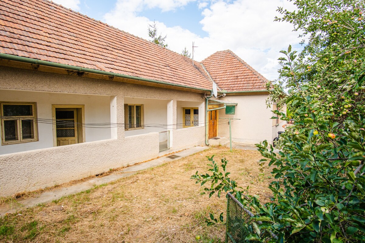 Stavebný pozemok 2800 m² s rodinným domom a všetkými IS – Kapince — foto 5