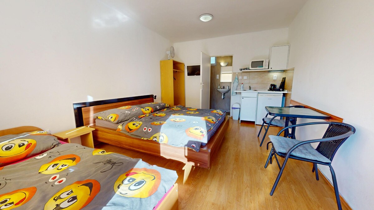 Na predaj : PRVÝ  PENZIÓN  pri kúpalisku . Podhájska — foto 4