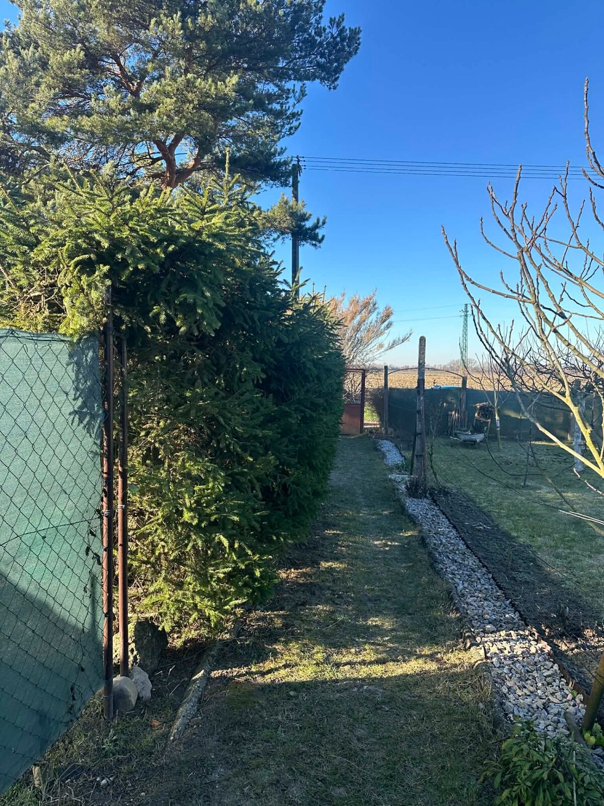 PREDAJ : ZÁHRADA S MUROVANOU CHATKOU, KOMÁRNO — foto 5