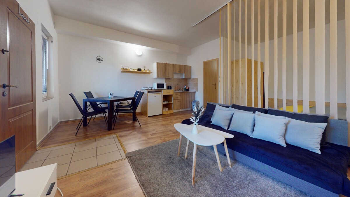 NA PREDAJ APARTMÁN V REKREAČNOM AREÁLI TERMÁLNEHO KÚPALISKA PATINCE — foto 3