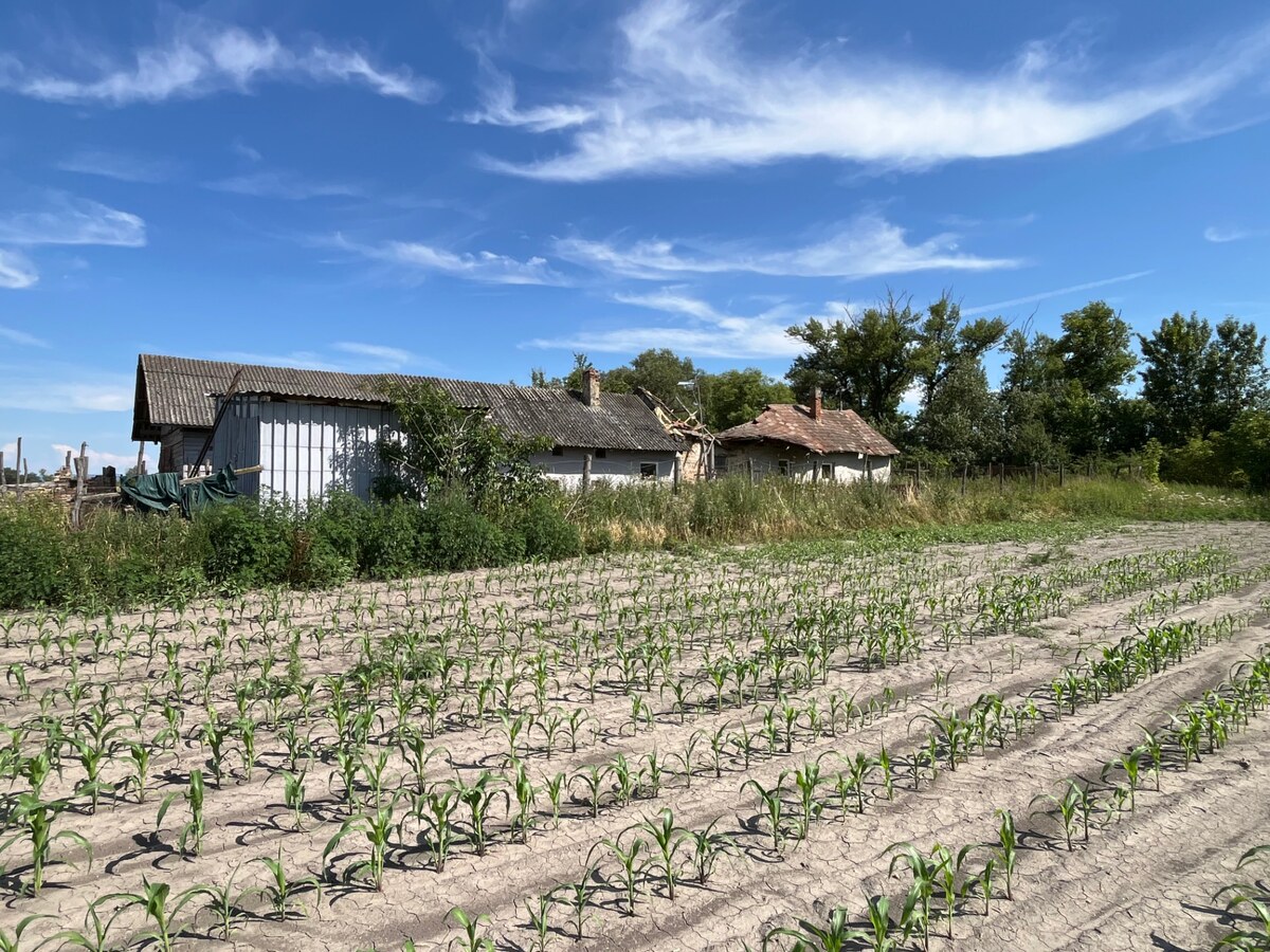 NA PREDAJ: ZA ZNÍŽENÚ CENU pozemok /1300m2/ so starým domom, Komárno — foto 5