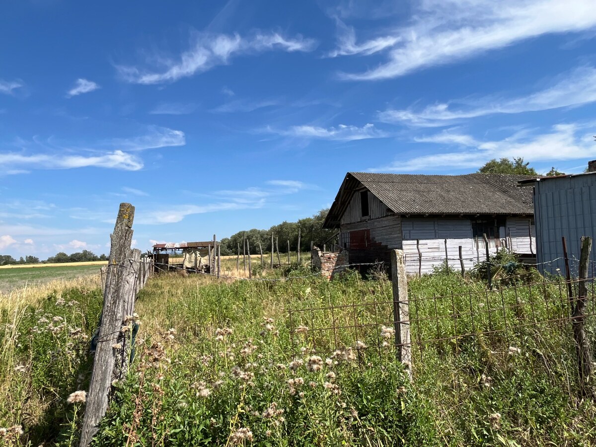 NA PREDAJ: ZA ZNÍŽENÚ CENU pozemok /1300m2/ so starým domom, Komárno — foto 8
