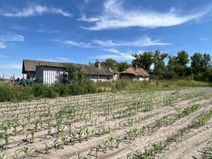NA PREDAJ: ZA ZNÍŽENÚ CENU pozemok /1300m2/ so starým domom, Komárno — foto 5