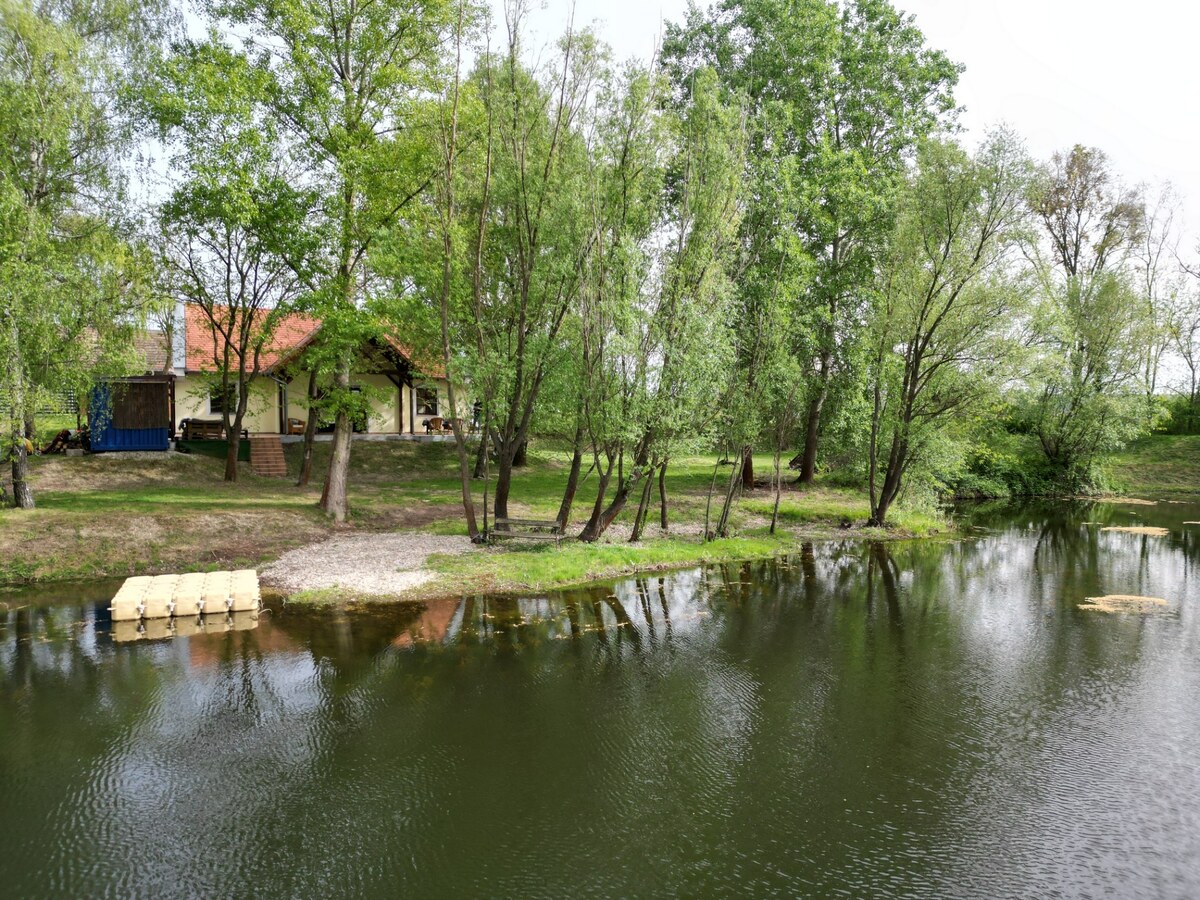 PREDAJ : Rodinný dom s vlastným jazerom v obci DUNASZENTPÁL — foto 3