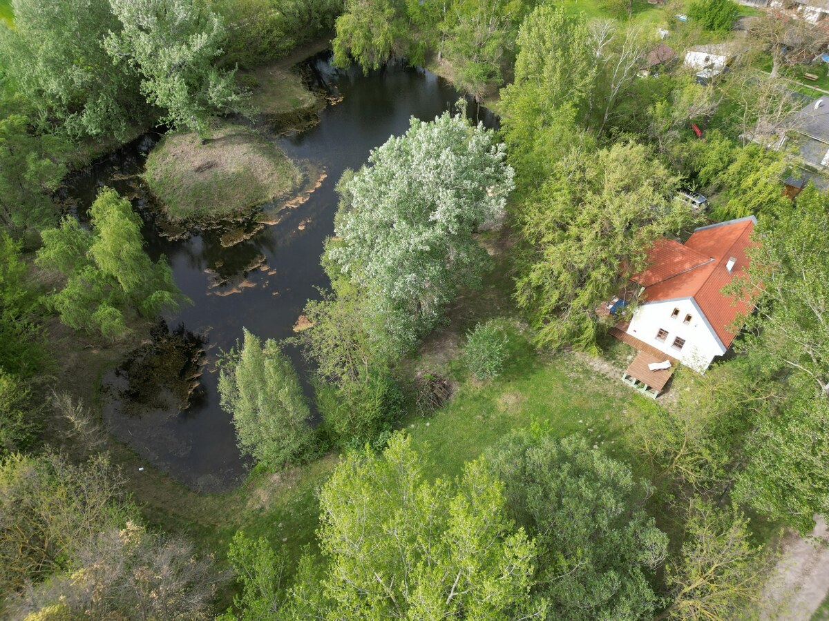 PREDAJ : Rodinný dom s vlastným jazerom v obci DUNASZENTPÁL — foto 4