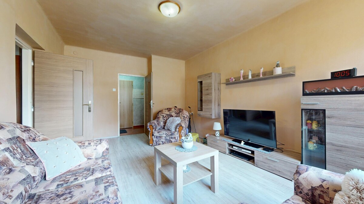 PREDAJ 2 izbový, zrekonštruovaný byt s loggiou blízko centra — foto 4