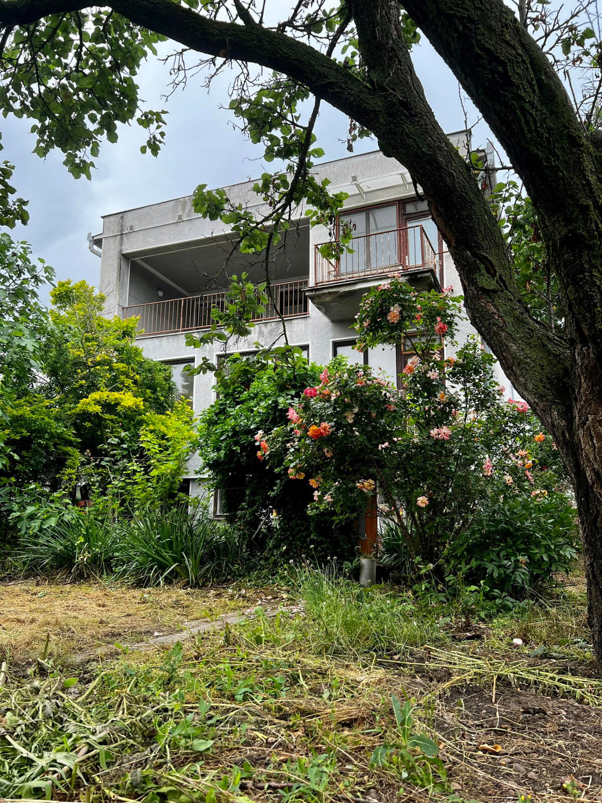 PREDAJ: dvojgeneračný rodinný dom v Bene - KOMÁRNO — foto 2