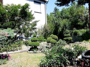 PREDAJ : Chata v blízkosti Dunaja, Radvaň nad Dunajom - Žitava — foto 4