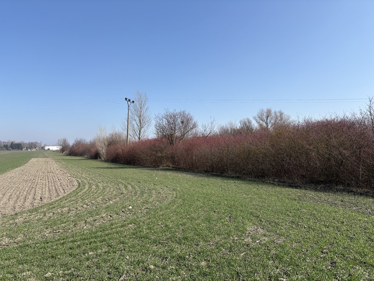 NA PREDAJ pozemok /5 559 m2/ v Komárne časť Malá Iža