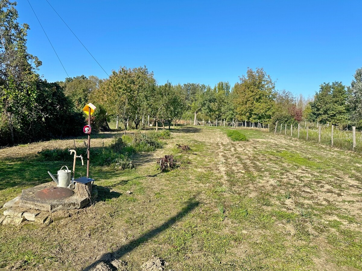 NA PREDAJ STAVEBNÝ POZEMOK V OBCI MARTOVCE, OKRES KOMÁRNO — foto 2