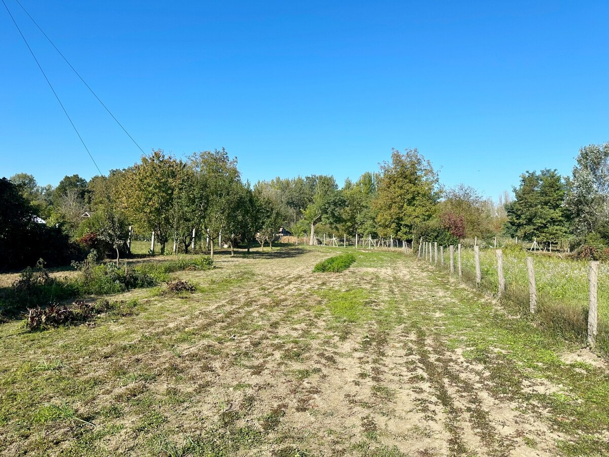 NA PREDAJ STAVEBNÝ POZEMOK V OBCI MARTOVCE, OKRES KOMÁRNO — foto 3