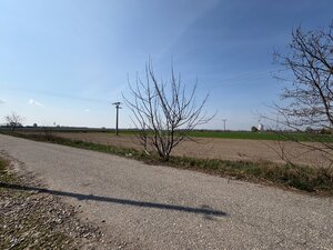 PREDAJ: Rodinný dom po rekonštrukcii /700 m2 pozemok/ Zemianska Olča — foto 14