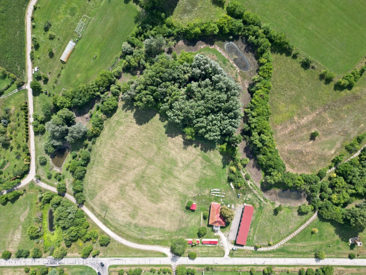 NA PREDAJ RODINNÝ DOM S VEDĽAJŠÍMI PRIESTORMI NA 2 HEKTÁROVOM POZEMKU — foto 3