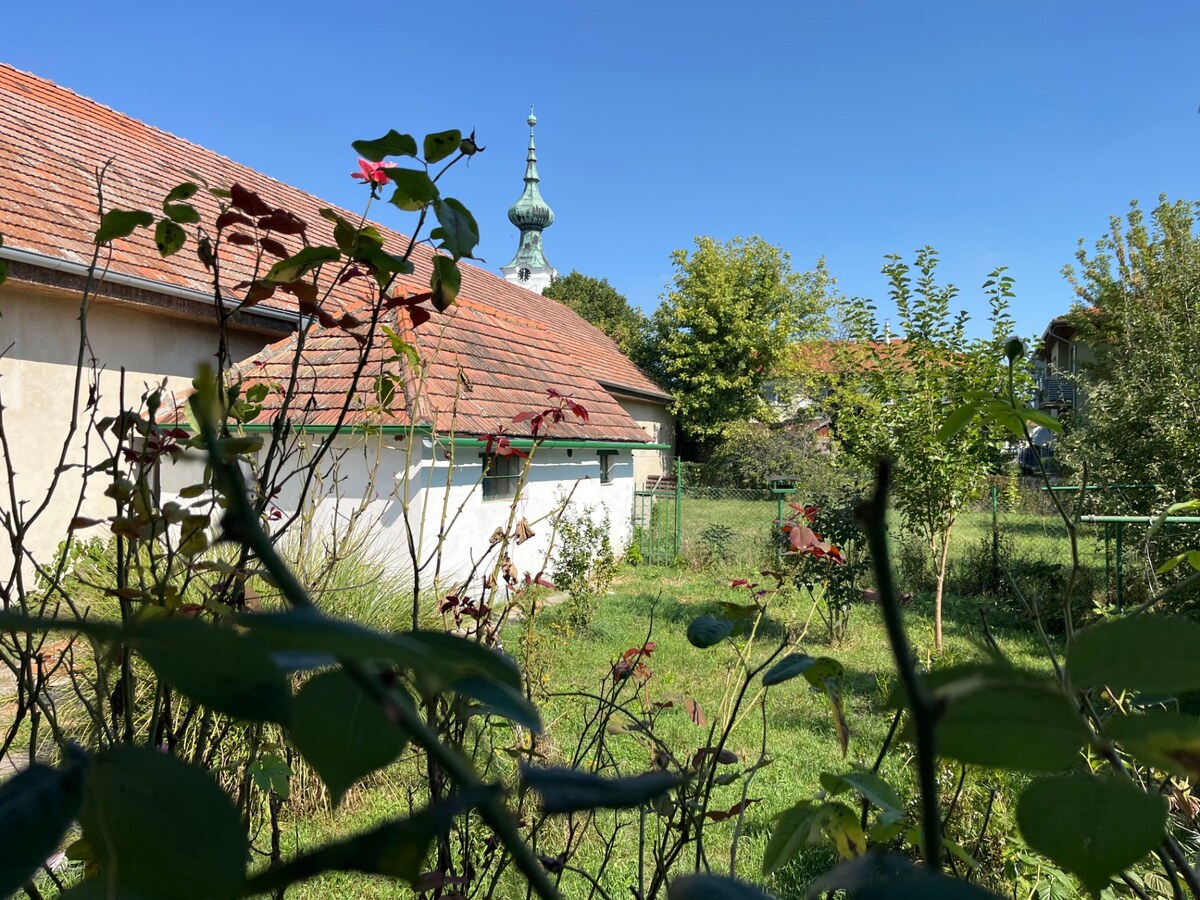 EXKLUSÍVNY PREDAJ 2 izb. rod.domu na 6,5 árovom pozemku,Zemianska Olča