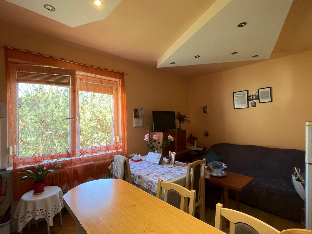 EXKLUSÍVNY PREDAJ 2 izb. rod.domu na 6,5 árovom pozemku,Zemianska Olča — foto 9