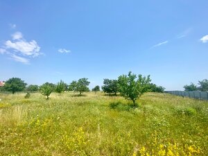 PREDAJ: STAVEBNÝ POZEMOK NEĎALEKO DUNAJA, VEĽKÝ HARČÁŠ, KOMÁRNO — foto 3