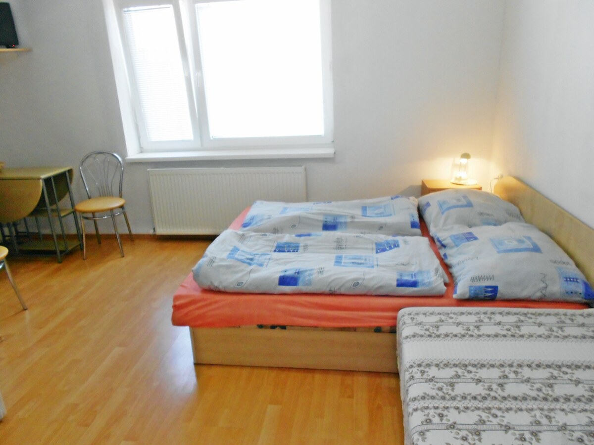 Na predaj :7 izbový rodinný dom - ubytovanie Podhájska , — foto 9