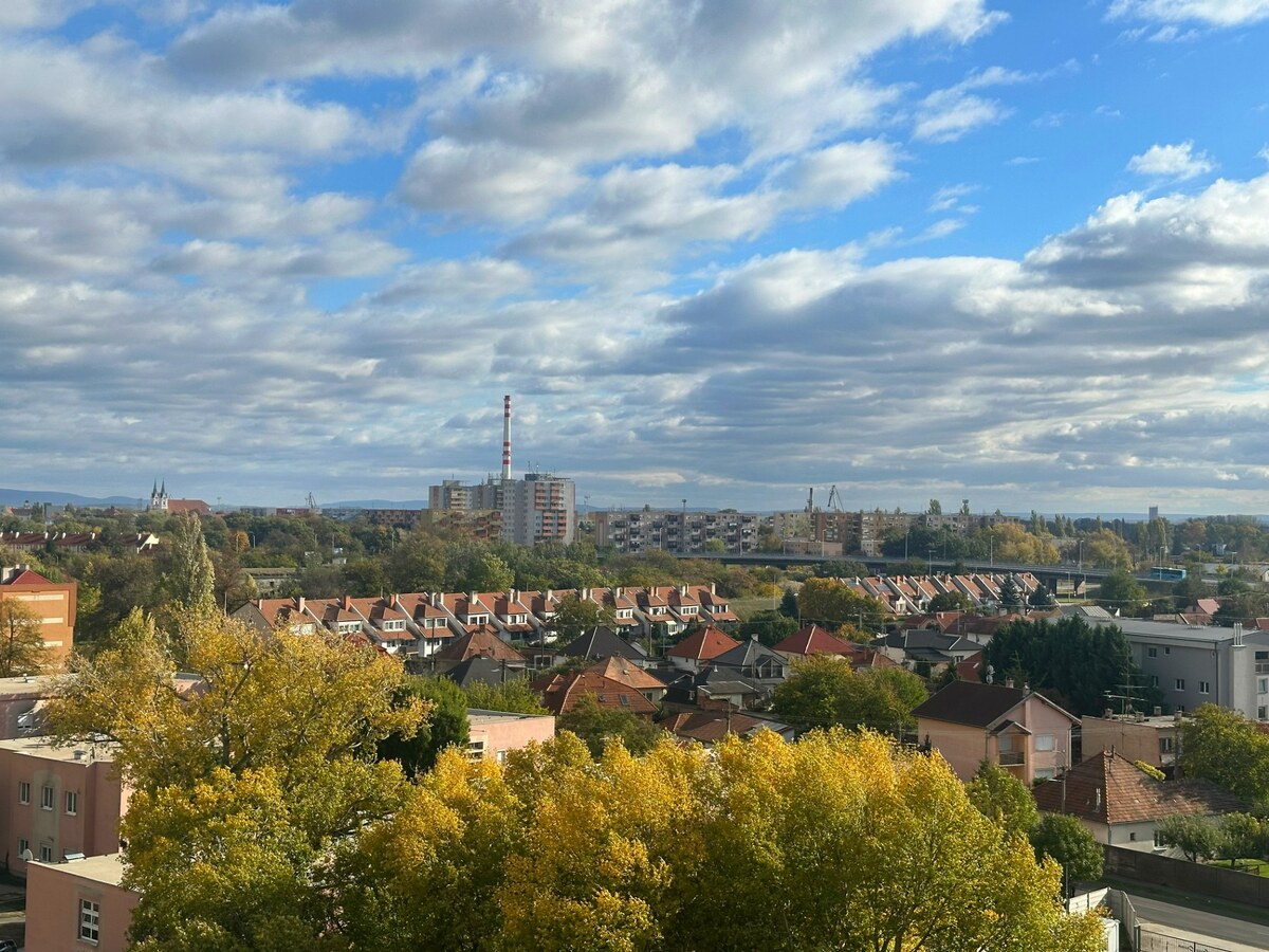 NA PREDAJ ČIASTOČNE ZREKONŠTRUOVANÝ 1 IZBOVÝ BYT, BAURING, KOMÁRNO — foto 6