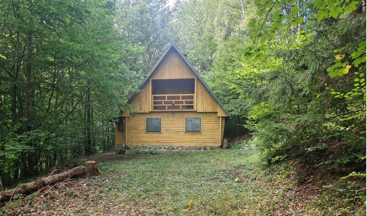Predaj: Chata Moštenica v horách / 383 m2 pozemok