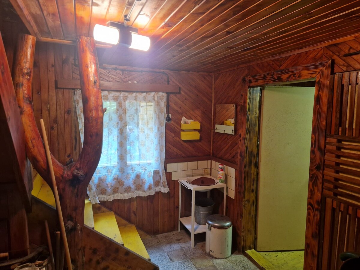 Predaj: Chata Moštenica v horách / 383 m2 pozemok — foto 10